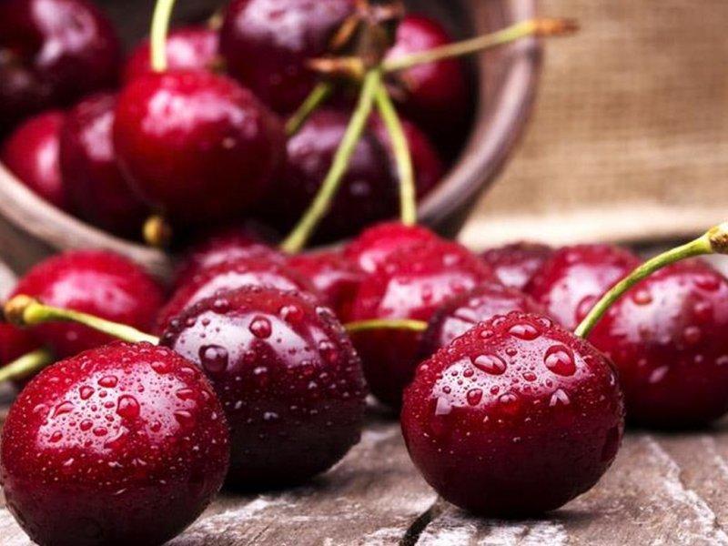 Вишня купить саженцы из питомника в Первоуральске